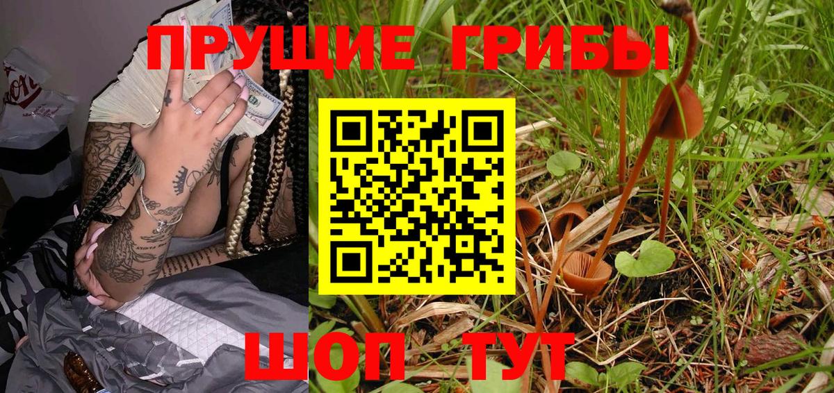 Галлюциногенные грибы Magic Shrooms  Вход с VPN  Киселёвск 