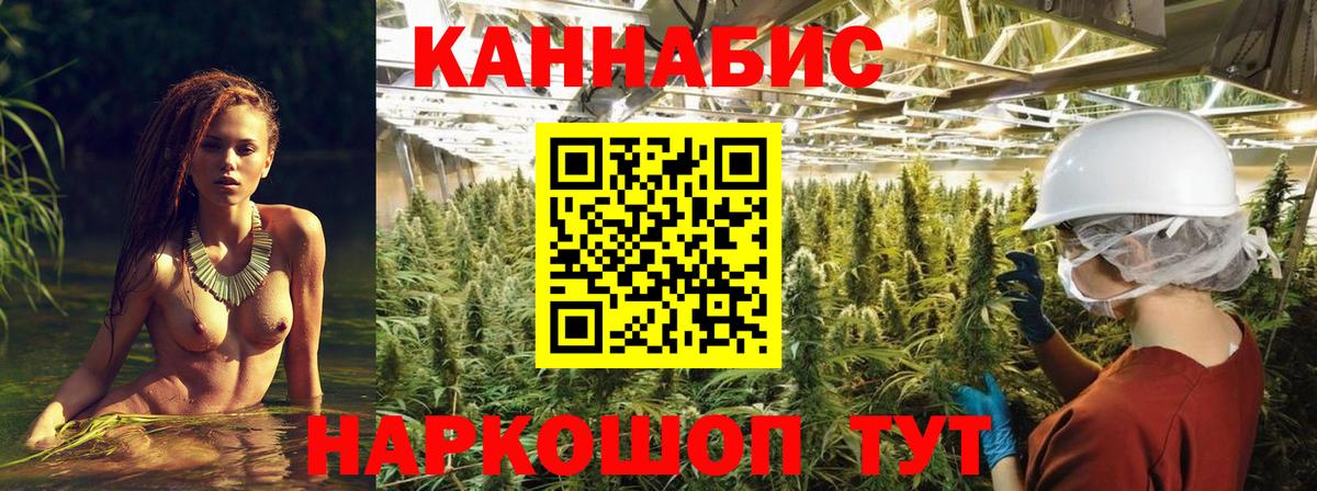 Бошки марихуана Bruce Banner  Шишки марихуана индика  Киселёвск  Вход с VPN  Канабис конопля 